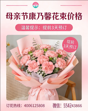 晋城泽州县花店母亲节康乃馨花束