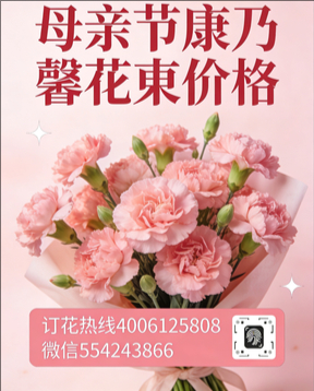 晋城泽州县花店母亲节康乃馨花束